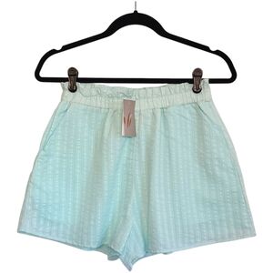 THREAD & VINE Light Mint Blue Lined Pull On Stripe Print Shorts Medium NWT